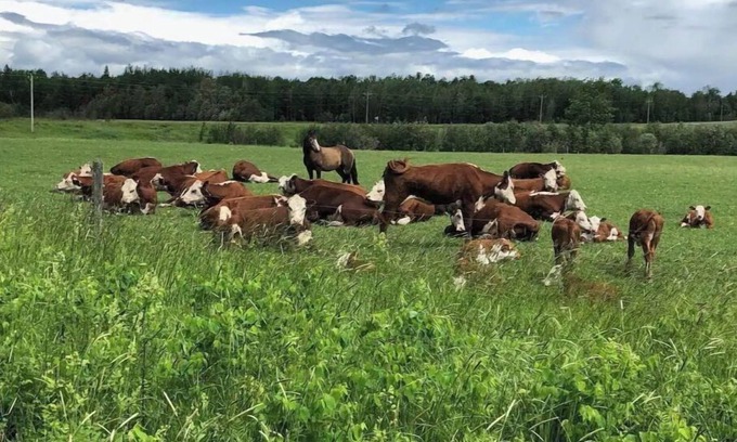 Orr Other | The Farmhouse at Elm Creek Farms