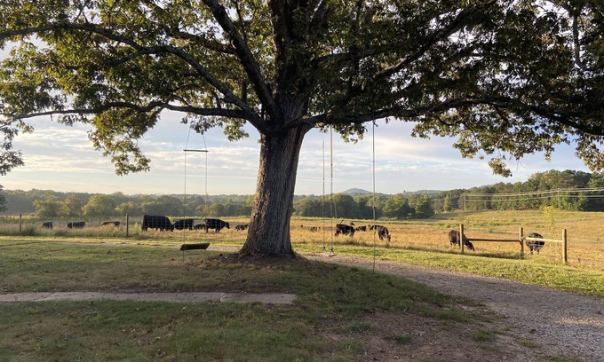 Connellys Springs Other | The Farmhouse at Highlands Family Farms