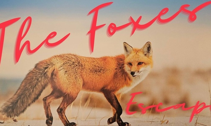 Kalbarri House | The Foxes Escape – Full House | Kalbarri | Sleeps 8 | Views & Wildlife