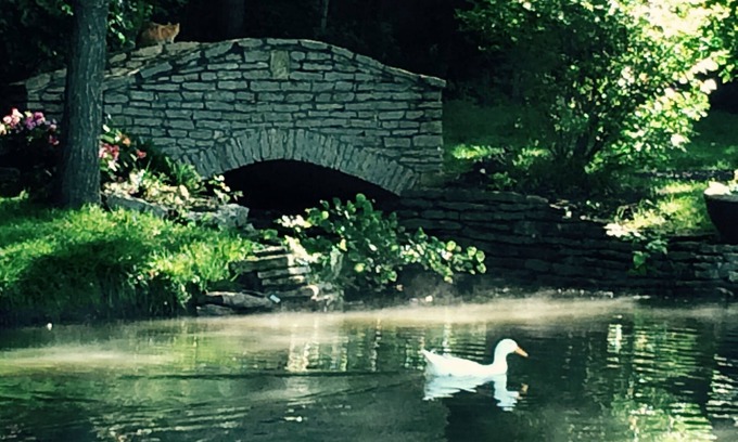 Bucyrus House | The Garden Carriage House