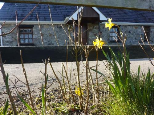 Drumkeary House | The Hill Cottage