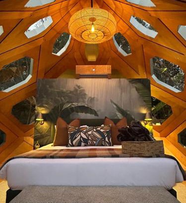 Storms River Other | The Hive - Jungle at Misty Mountain Reserve