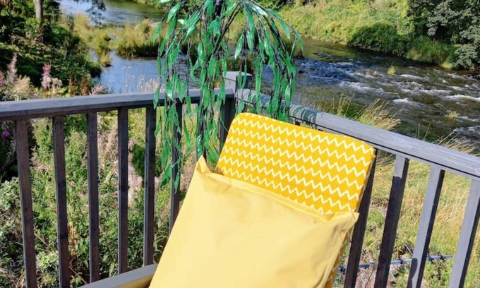 Hawick Cabin | The HIVE on the river bank