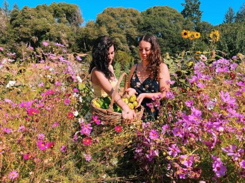 Anderson Valley Cabin | The Land - Luxury Retreat Center In Beautiful Nature - Bay Area Northern California