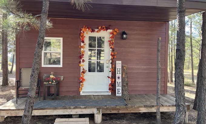 Edgemont Cabin | The little cabin in the woods! Nearby great trails and hunting!