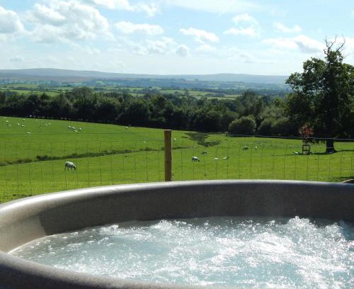 Westhouse Apartment | The Lodges at Thornbrook