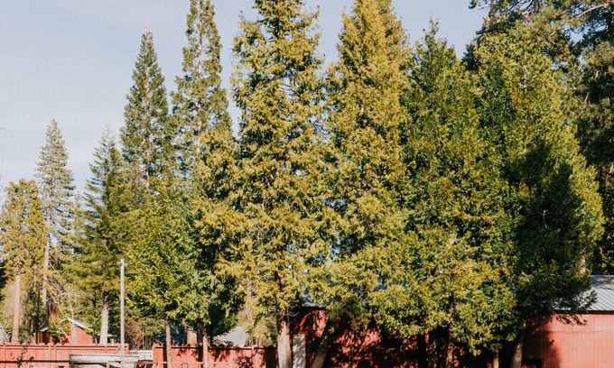 Long Barn Cabin | The Long Barn Lodge - Homey Cabin A