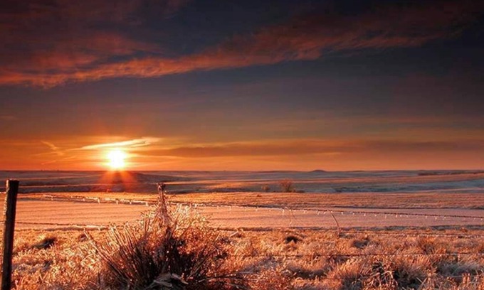 Tribune House | The Magnolia