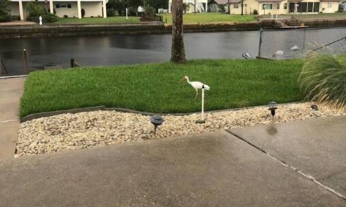 Spring Hill House | The Mermaid Beach House 2