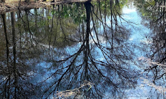 Inverness Cottage | The Oaks at Withlacoochee Cottage Riverfront - NO Mgt fees!