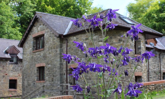 Whitland Cottage | The Old Mill. Surrounded by over 450 acres of Organic farm