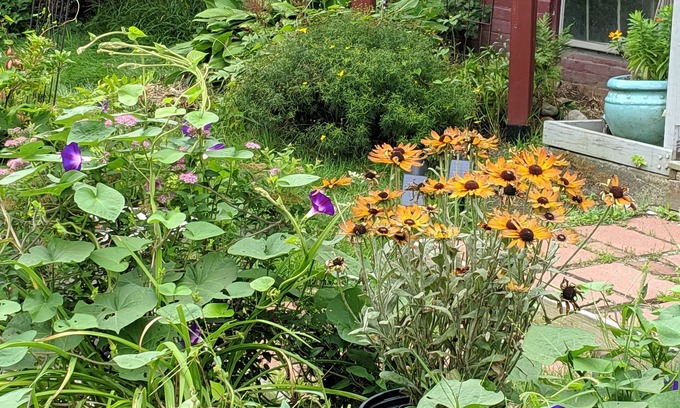 Brattleboro Bed & Breakfast | The One Cat B&B