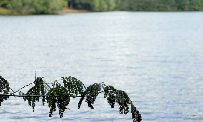 Jacksons' Gap House | The Palms by the Lake: Your Affordable Lakeside Retreat