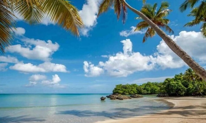 La Ceiba Apartment | {The~Palms~View} @PlayaBonita +Beachfront+Pool+BBQ