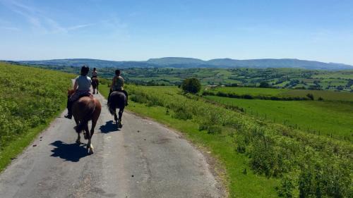 Westbrook Court Hotel | The Roast Ox Inn