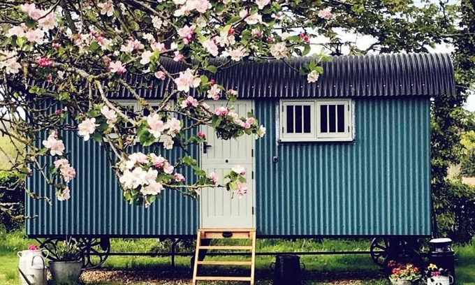 Brandeston Apartment | The Scrumpy Shepherd, Brandeston