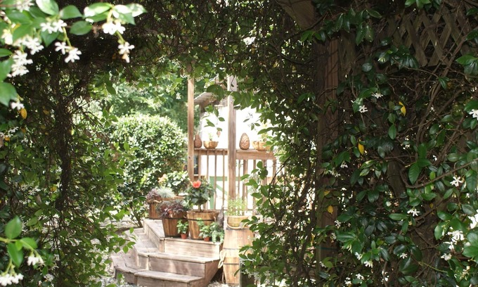 Brooksville Cottage | The Shebeen A small Irish cottage,come experience the enchantment and trnquility