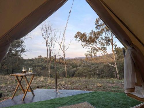 Mumbil Other | The Stockyard Experience