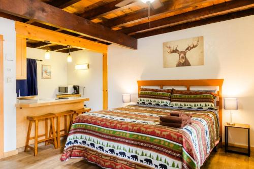 Tahoe Island Hotel | The Washoe Lodge