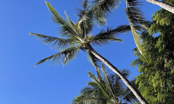 Halawa House | This hideaway is centered right in the middle of Oahu, Hi
