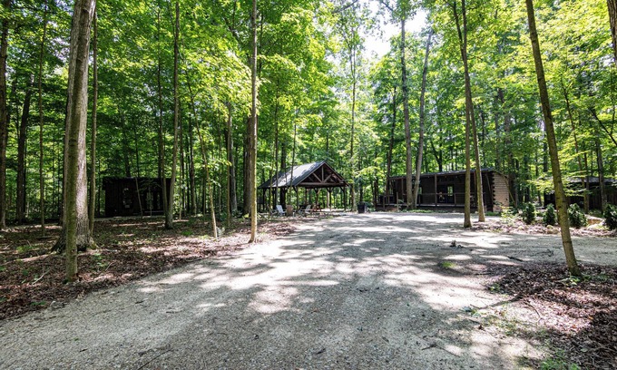 Dola RV Rental | Three Cozy Cabin Retreats nestled in nature