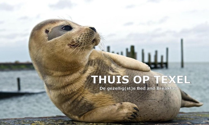 Den Burg Bed & Breakfast | Thuis op Texel