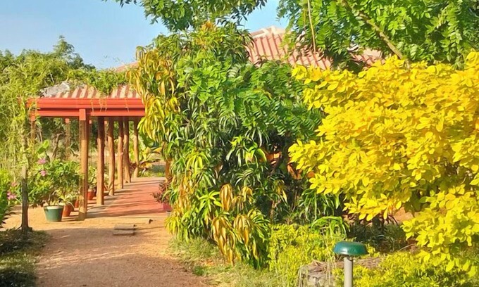 Habarana Hotel | Tiara Elephant Lodge