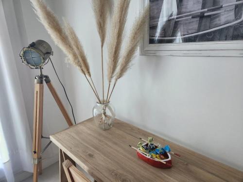 Tigre Apartment | Tigre Studio Apartment