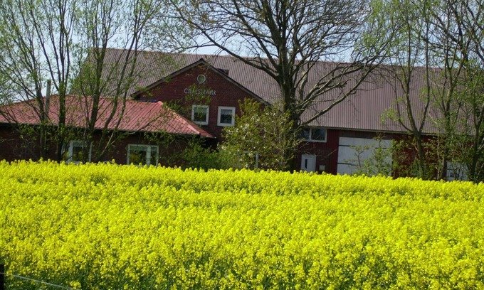 Aventoft Apartment | Time out from everyday life in Nordfriesland