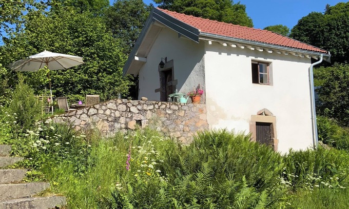 La Rosiere Cabin | Tiny House La Tourelle with natural swimming lake in a dreamlike Vosges landscape