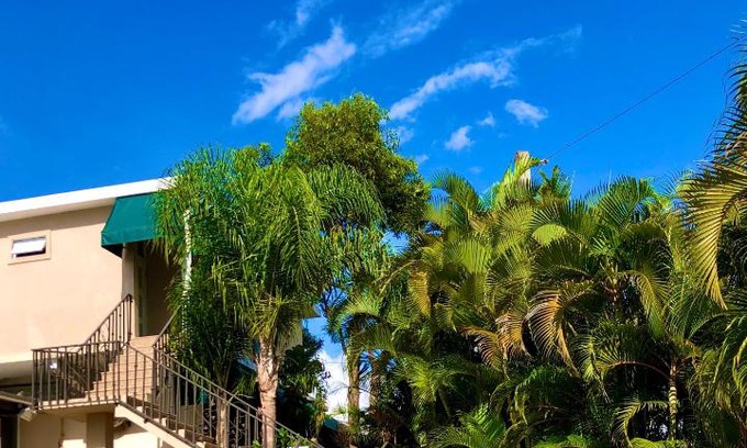 Asomante Hotel | Tio Pepe’s Guest House