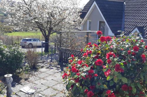 Bantry House | Tir na nOg - A Piece of Heaven