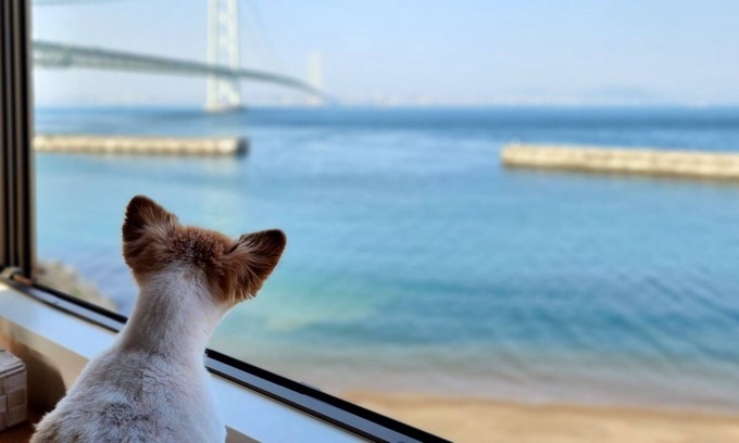 Awaji House | Tizwan Akashi OhashiOcean ViewPrivateUp to 10 p / Awaji Hyōgo