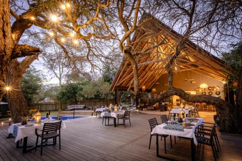 Hoedspruit Cabin | Tomo Safari Lodge