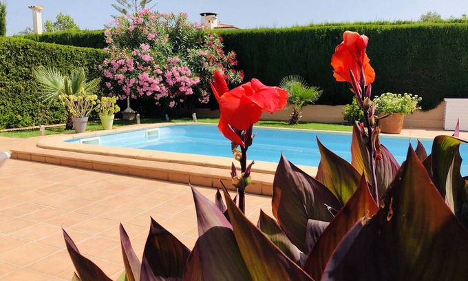 Porto Cristo Novo House | Top maintained and fully equipped holiday home with pool near the beach