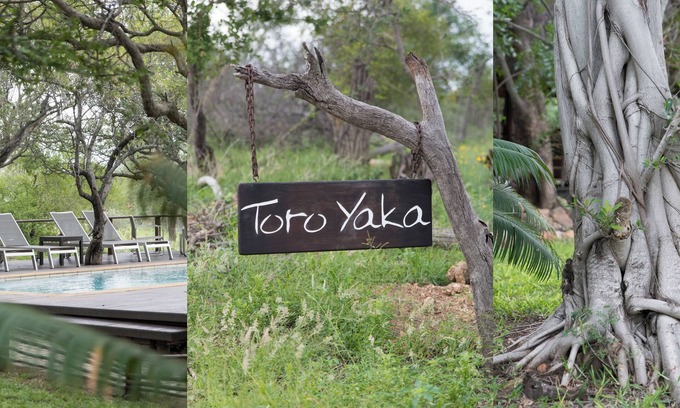 Maruleng Hotel | Toro Yaka Bush Lodge