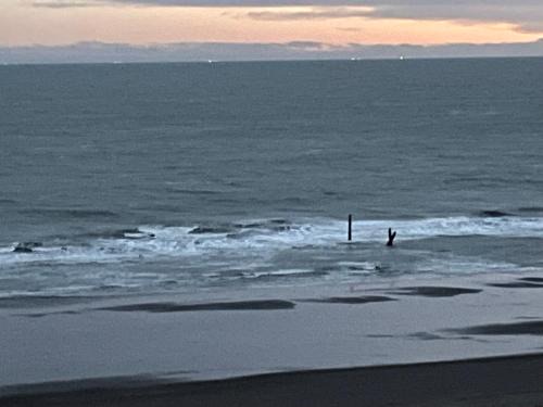 Partido de Monte Hermoso Apartment | Torres al mar 10