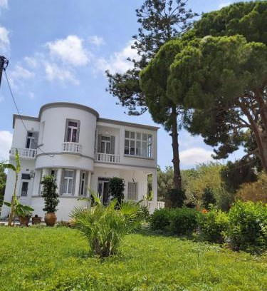 Petaloudes House | Tower Traditional Pool Villa