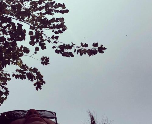 Meerut House | travoyoga