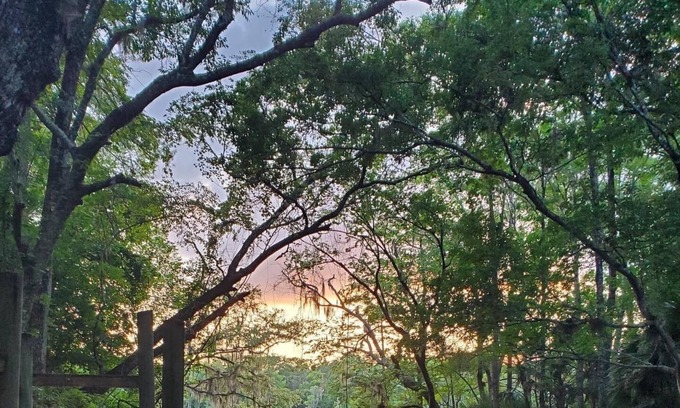 Chiefland House | Treasure of the Suwannee