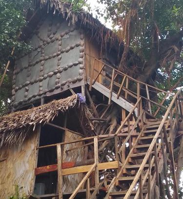 Tanna Island Hotel | Tree Home Adventure