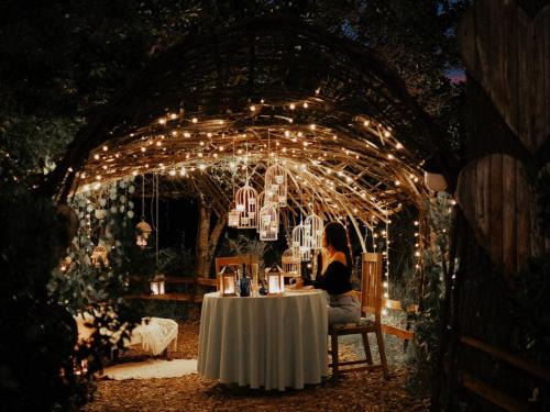 Wilderness House | Treedom Villas and Vardos