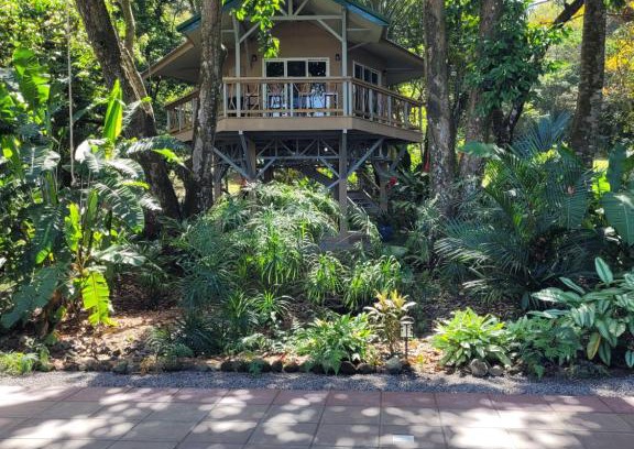 Pavones House | Treehouse La Hierba, Pavones