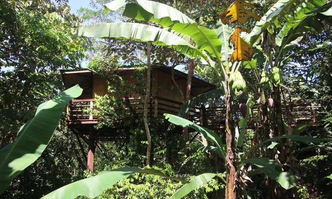 Langostino Cabin | TREEHOUSE PILON PAVONES