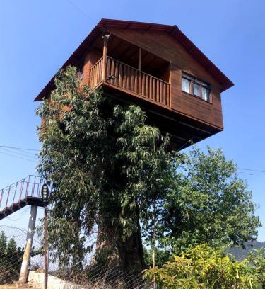 Omitlan de Juarez House | Trini Treehouse By GEstores