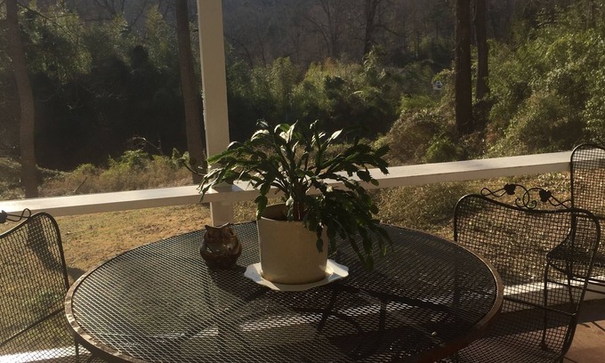 Lynn House | Tryon Love 2 min walk to downtown. Wood fireplace. Monthly rentals only.