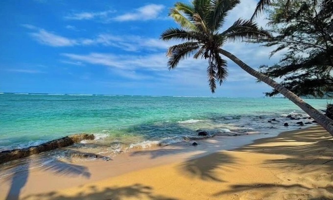 Punaluu Condo | Turtle Beachfront, snorkeling, free parking, wash-dryer in unit, New bigger AC.