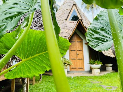 Rekawa Other | Turtle Wood Cabin