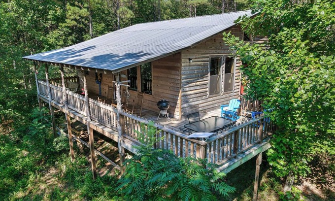 Jasper Cabin | Twin Cedars Cabin in the Woods! Birders paradise near Sipsey and Bankhead