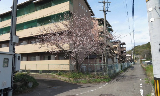 Sanuki Apartment | Twin room with 2 single beds Vacation Rental Busin/Sanuki Kagawa